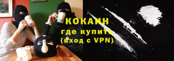 ПСИЛОЦИБИНОВЫЕ ГРИБЫ Арсеньев