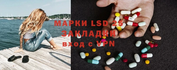 ешки Аркадак