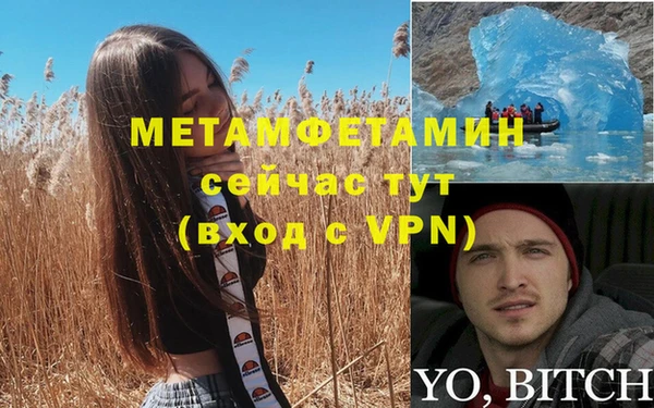 ПСИЛОЦИБИНОВЫЕ ГРИБЫ Арсеньев