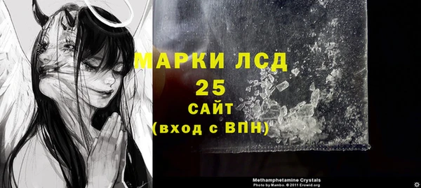 ПСИЛОЦИБИНОВЫЕ ГРИБЫ Арсеньев