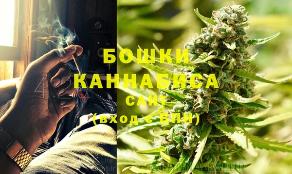 ешки Аркадак